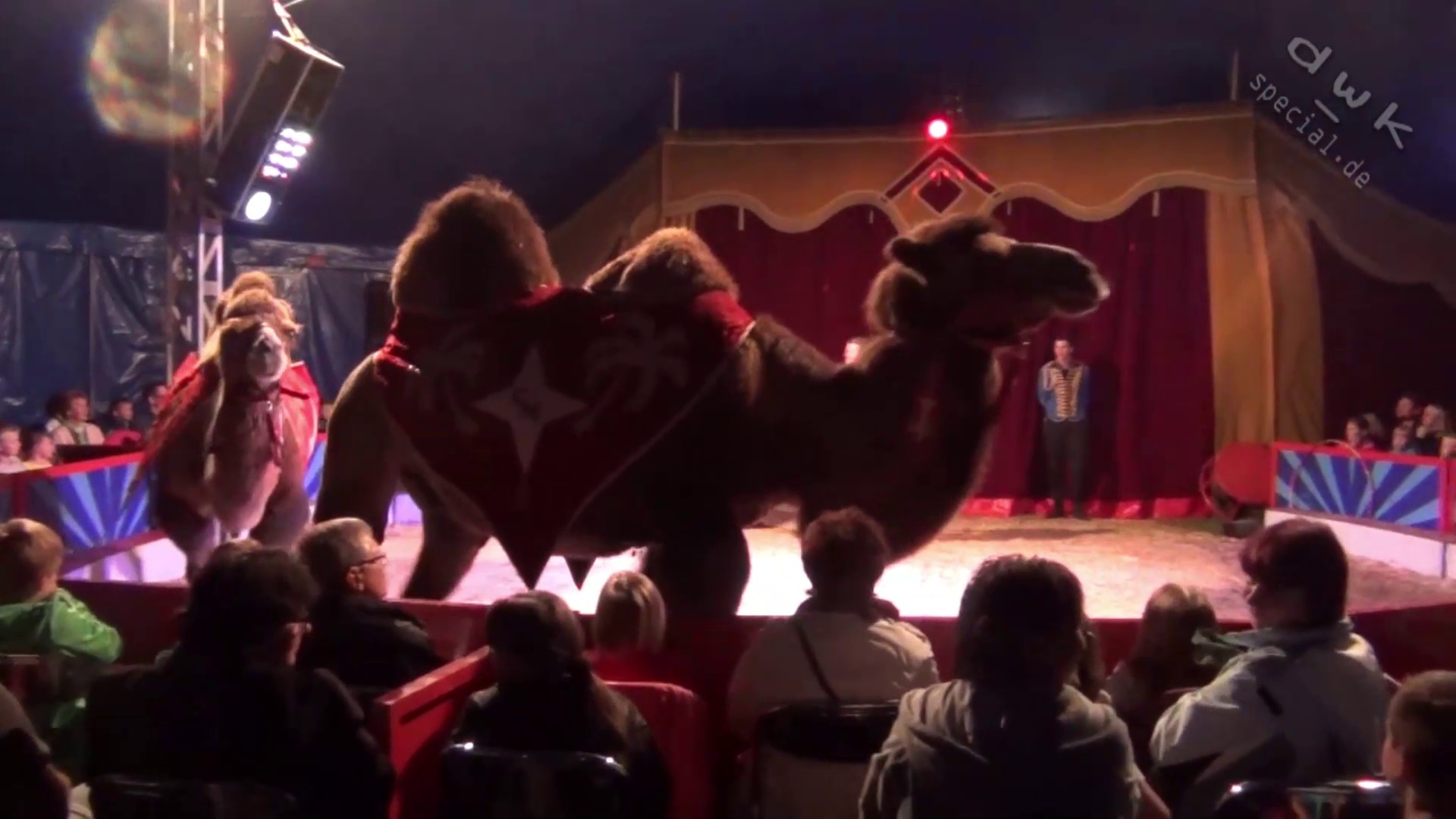 Besuch im Circus Monaco Film1+2 - Film von 2014